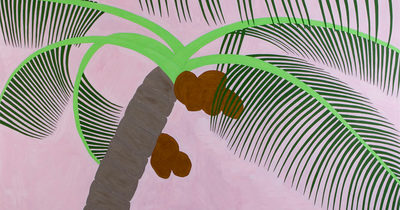Palm Trees